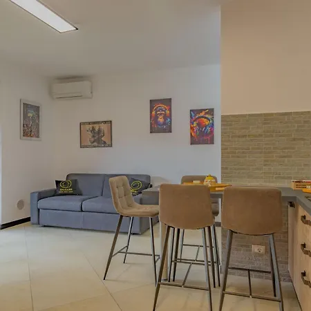 Apartment 84 House